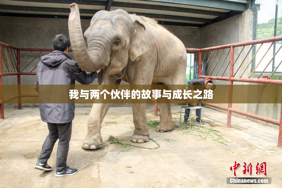 我与两个伙伴的故事与成长之路