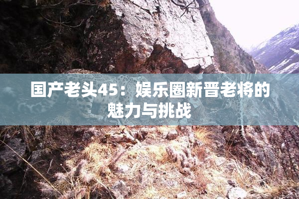 国产老头45：娱乐圈新晋老将的魅力与挑战