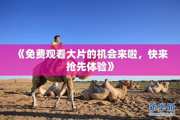 《免费观看大片的机会来啦，快来抢先体验》