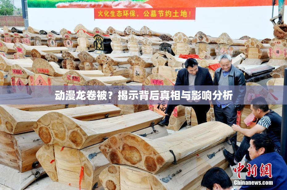 动漫龙卷被？揭示背后真相与影响分析