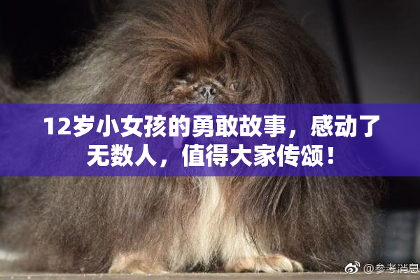 12岁小女孩的勇敢故事，感动了无数人，值得大家传颂！