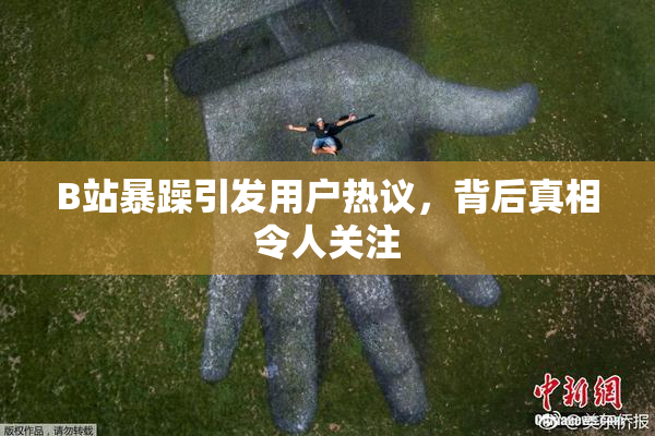 B站暴躁引发用户热议，背后真相令人关注