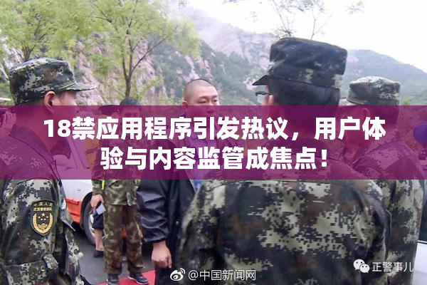 18禁应用程序引发热议，用户体验与内容监管成焦点！