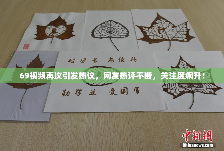 69视频再次引发热议，网友热评不断，关注度飙升！