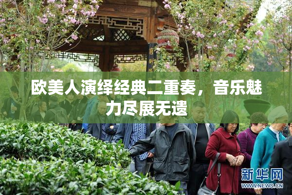 欧美人演绎经典二重奏，音乐魅力尽展无遗