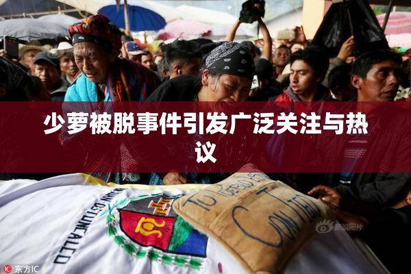 少萝被脱事件引发广泛关注与热议