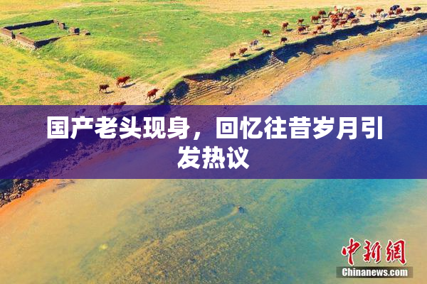 国产老头现身，回忆往昔岁月引发热议