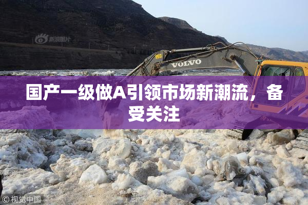 国产一级做A引领市场新潮流，备受关注
