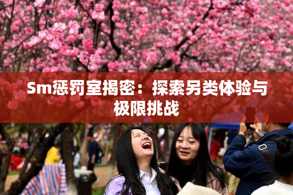 Sm惩罚室揭密：探索另类体验与极限挑战