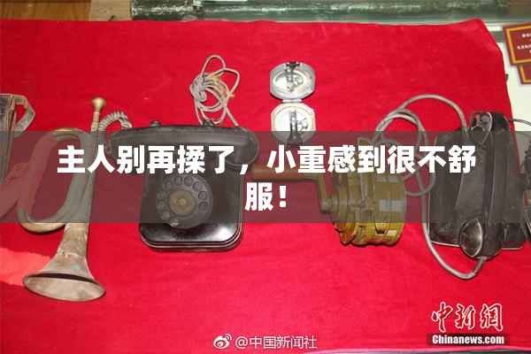 主人别再揉了，小重感到很不舒服！