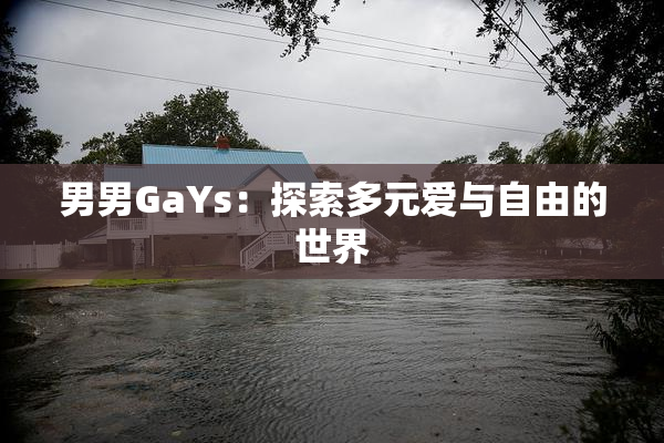 男男GaYs：探索多元爱与自由的世界