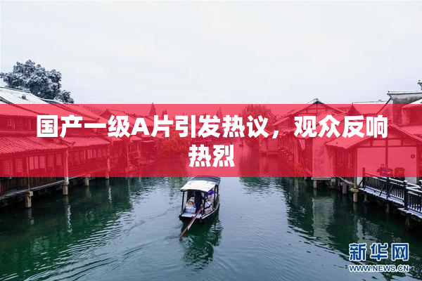 国产一级A片引发热议，观众反响热烈