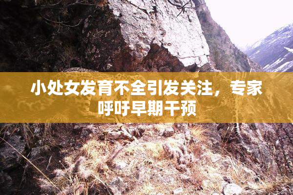 小处女发育不全引发关注，专家呼吁早期干预