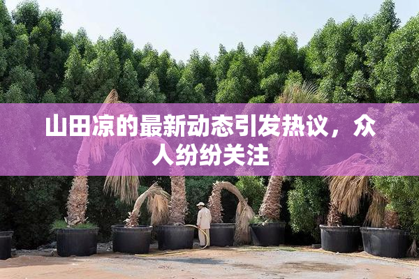 山田凉的最新动态引发热议，众人纷纷关注