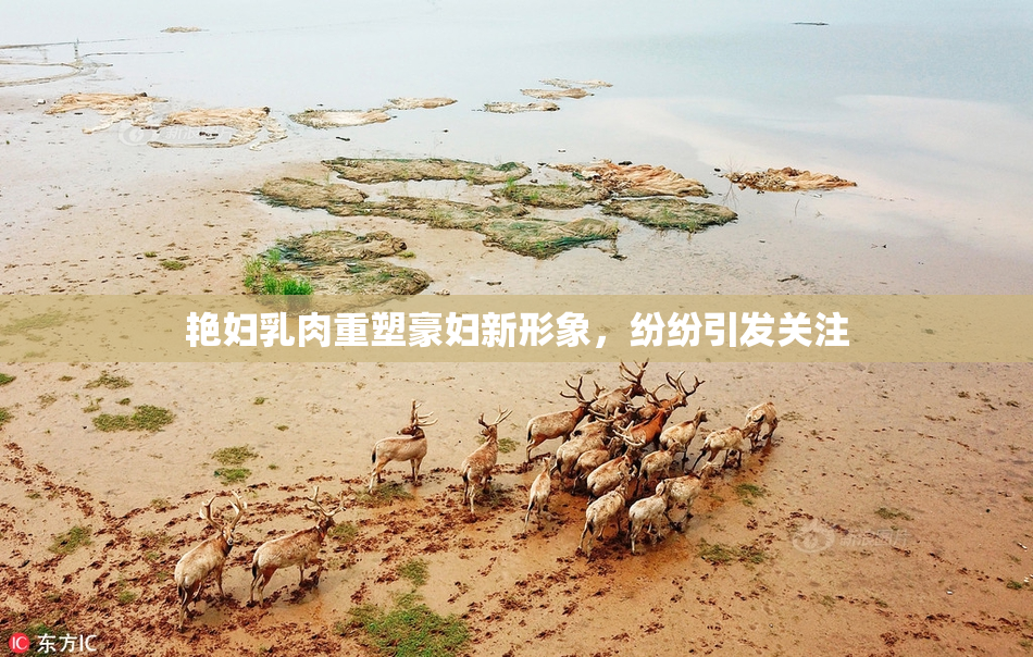 艳妇乳肉重塑豪妇新形象，纷纷引发关注