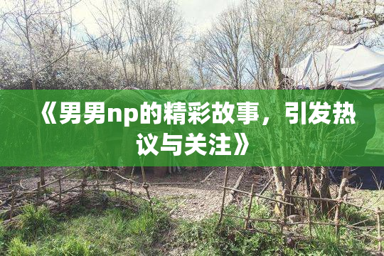 《男男np的精彩故事，引发热议与关注》