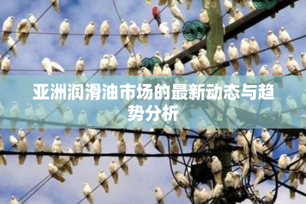 亚洲润滑油市场的最新动态与趋势分析