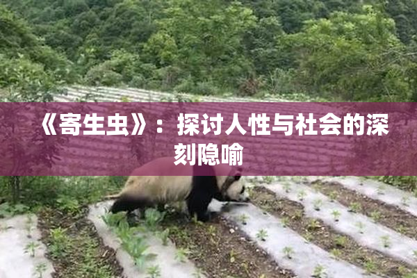 《寄生虫》：探讨人性与社会的深刻隐喻