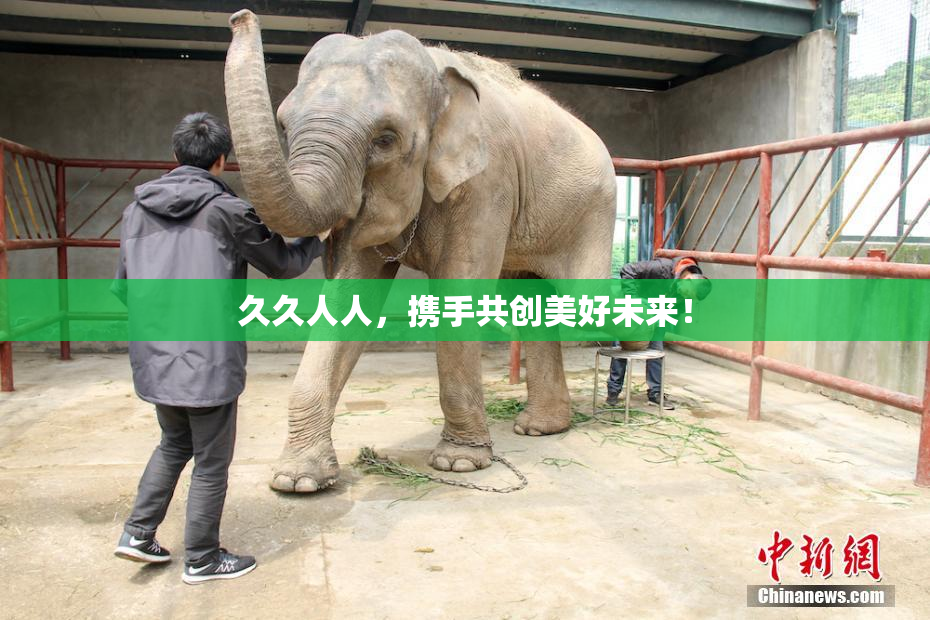 久久人人，携手共创美好未来！