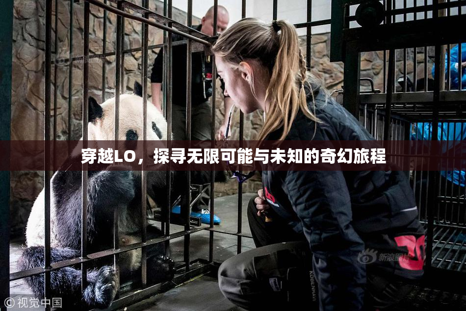 穿越LO，探寻无限可能与未知的奇幻旅程