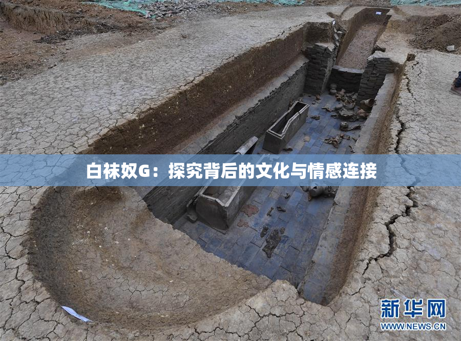 白袜奴G：探究背后的文化与情感连接