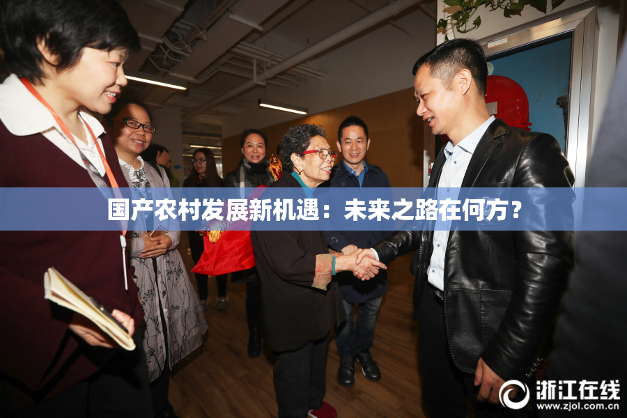 国产农村发展新机遇：未来之路在何方？