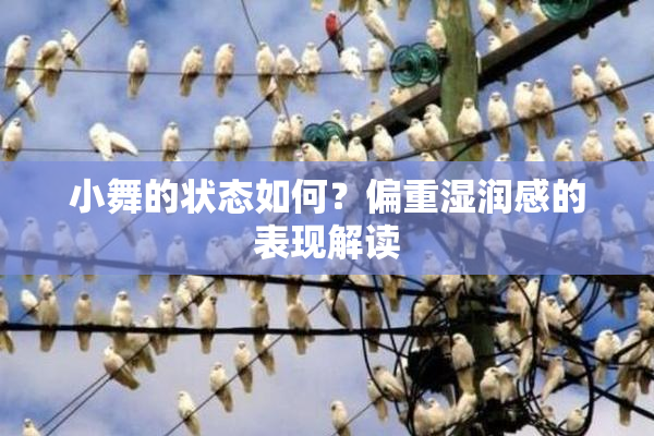 小舞的状态如何？偏重湿润感的表现解读