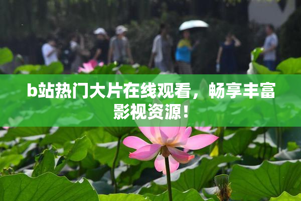 b站热门大片在线观看，畅享丰富影视资源！