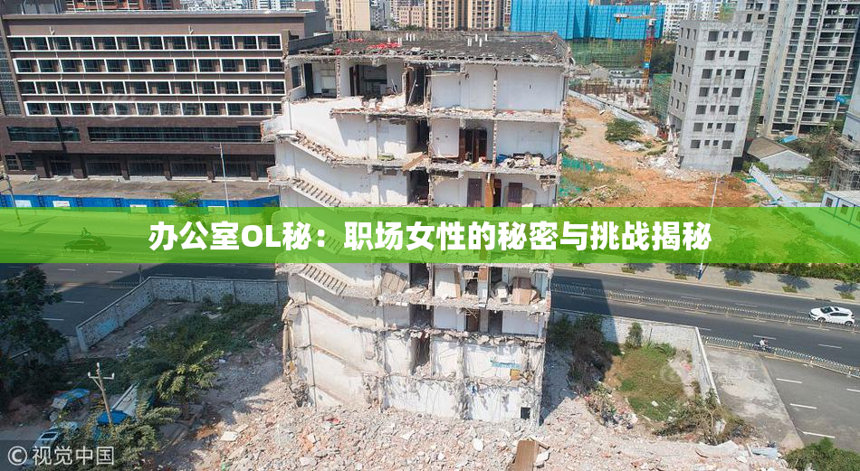 办公室OL秘：职场女性的秘密与挑战揭秘