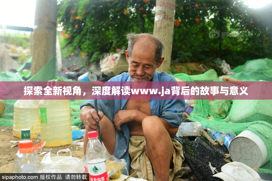 探索全新视角，深度解读www.ja背后的故事与意义