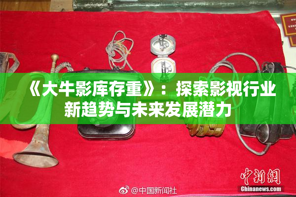 《大牛影库存重》：探索影视行业新趋势与未来发展潜力