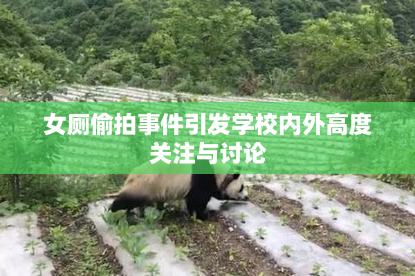 女厕偷拍事件引发学校内外高度关注与讨论