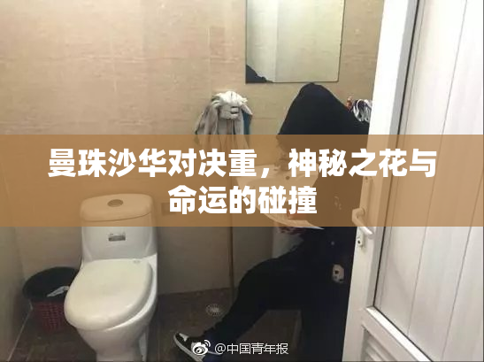 曼珠沙华对决重，神秘之花与命运的碰撞