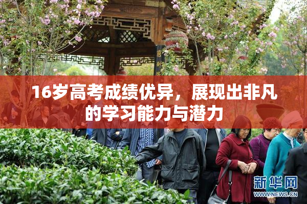 16岁高考成绩优异，展现出非凡的学习能力与潜力