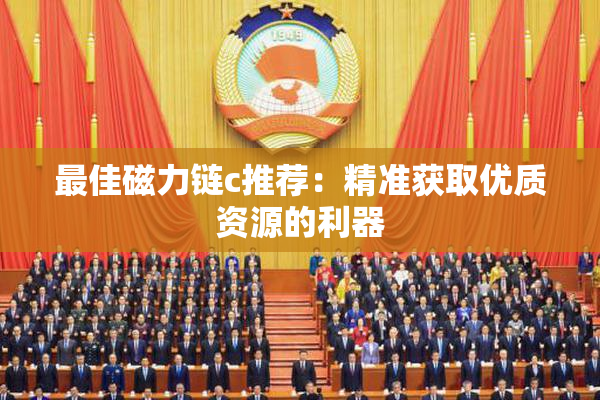 最佳磁力链c推荐：精准获取优质资源的利器