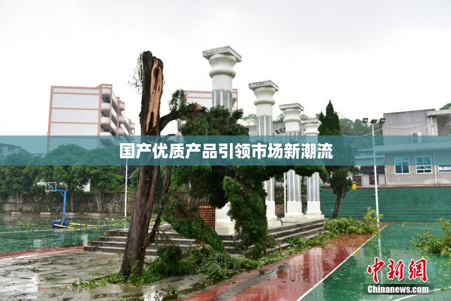 国产优质产品引领市场新潮流