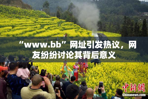 “www.bb”网址引发热议，网友纷纷讨论其背后意义