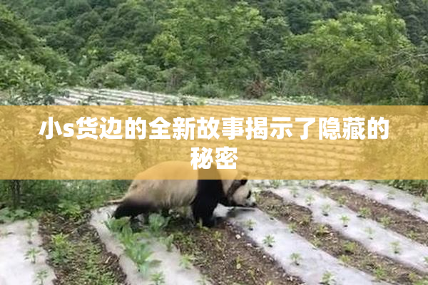 小s货边的全新故事揭示了隐藏的秘密