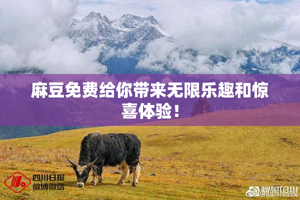 麻豆免费给你带来无限乐趣和惊喜体验！