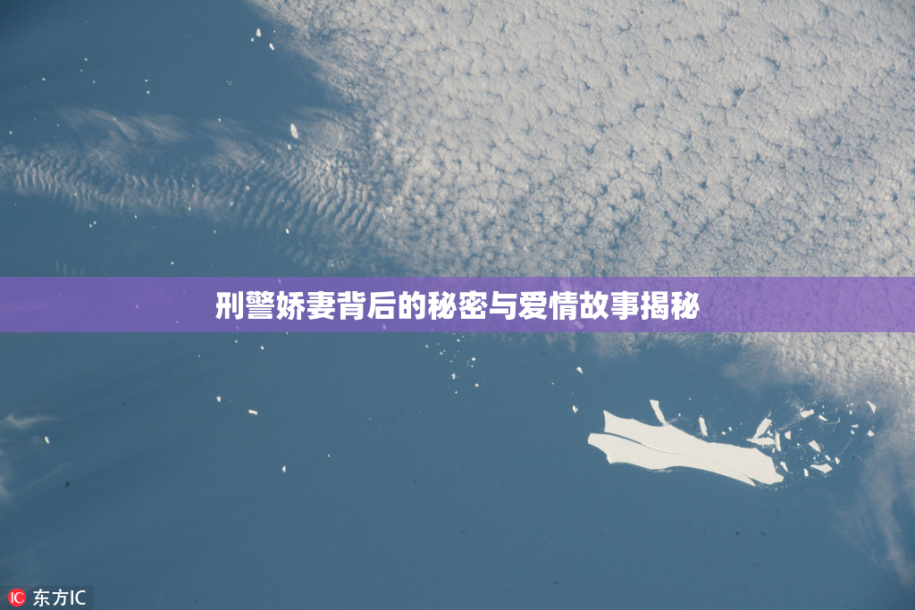 刑警娇妻背后的秘密与爱情故事揭秘