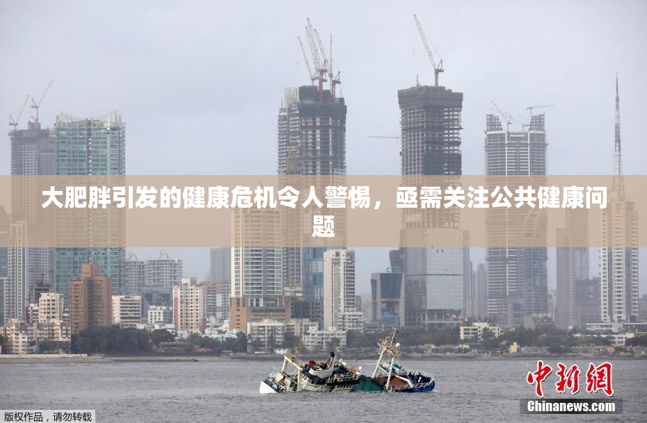大肥胖引发的健康危机令人警惕，亟需关注公共健康问题