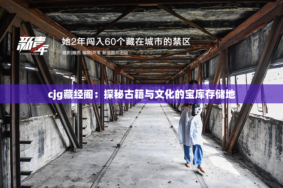 cjg藏经阁：探秘古籍与文化的宝库存储地
