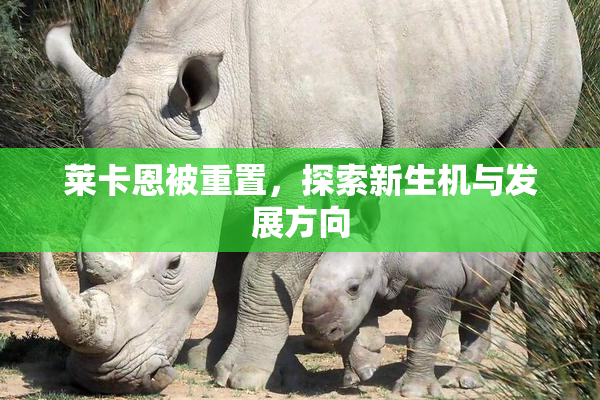 莱卡恩被重置，探索新生机与发展方向