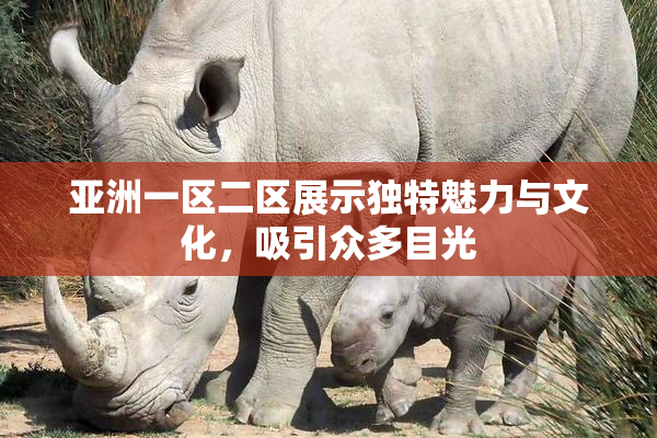 亚洲一区二区展示独特魅力与文化，吸引众多目光
