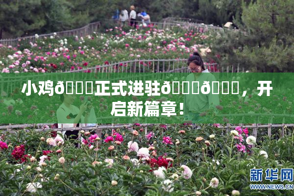 小鸡🐔正式进驻🍑🔞，开启新篇章！