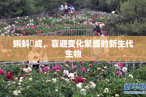 蝌蚪窉成，喜迎变化繁盛的新生代生物
