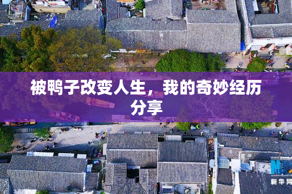被鸭子改变人生，我的奇妙经历分享