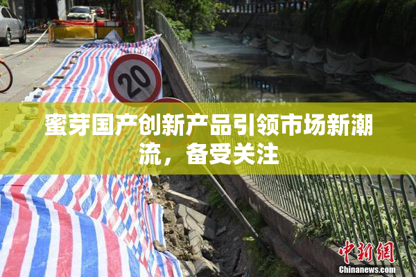 蜜芽国产创新产品引领市场新潮流，备受关注