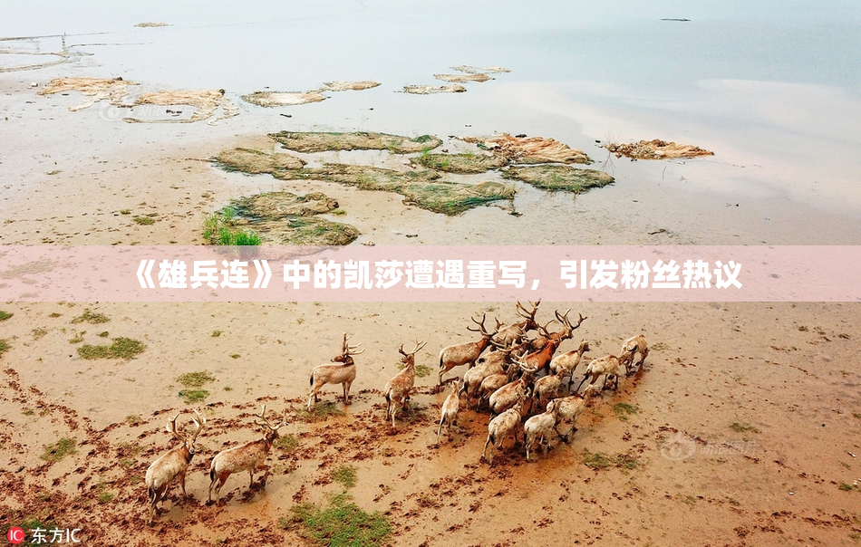 《雄兵连》中的凯莎遭遇重写，引发粉丝热议