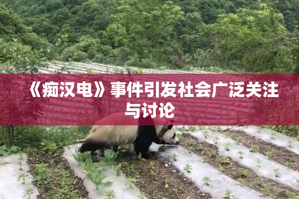 《痴汉电》事件引发社会广泛关注与讨论